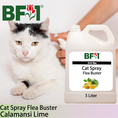 Cat Spray Flea Buster (CSY-Cat) - lime - Calamansi Lime - 5L ⭐⭐⭐⭐⭐ Cat Spray Flea Buster (CSY-Cat) - lime - Calamansi Lime - 5L ⭐⭐⭐⭐⭐