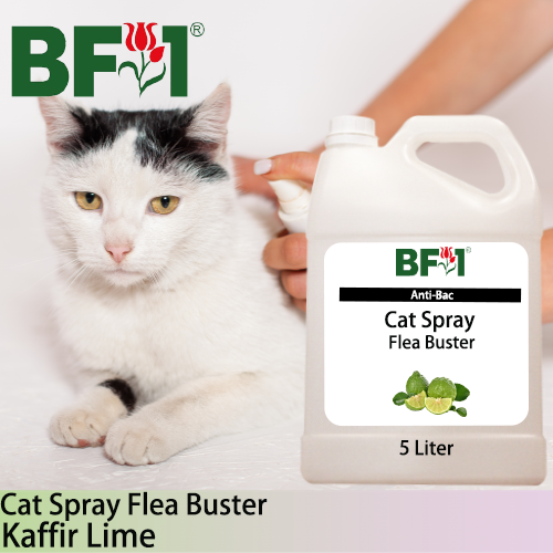 Cat Spray Flea Buster (CSY-Cat) - lime - Kaffir Lime - 5L ⭐⭐⭐⭐⭐ Cat Spray Flea Buster (CSY-Cat) - lime - Kaffir Lime - 5L ⭐⭐⭐⭐⭐