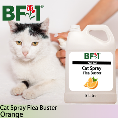 Cat Spray Flea Buster (CSY-Cat) - Orange - 5L ⭐⭐⭐⭐⭐ Cat Spray Flea Buster (CSY-Cat) - Orange - 5L ⭐⭐⭐⭐⭐
