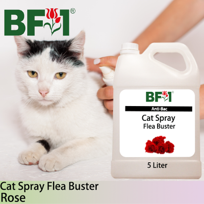 Cat Spray Flea Buster (CSY-Cat) - Rose - 5L ⭐⭐⭐⭐⭐ Cat Spray Flea Buster (CSY-Cat) - Rose - 5L ⭐⭐⭐⭐⭐