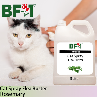 Cat Spray Flea Buster (CSY-Cat) - Rosemary - 5L ⭐⭐⭐⭐⭐ Cat Spray Flea Buster (CSY-Cat) - Rosemary - 5L ⭐⭐⭐⭐⭐