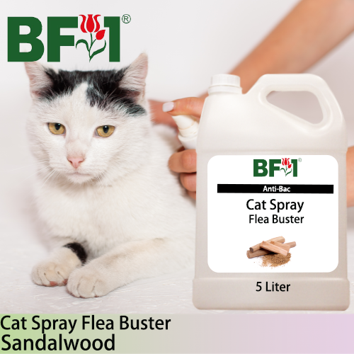 Cat Spray Flea Buster (CSY-Cat) - Sandalwood - 5L ⭐⭐⭐⭐⭐ Cat Spray Flea Buster (CSY-Cat) - Sandalwood - 5L ⭐⭐⭐⭐⭐