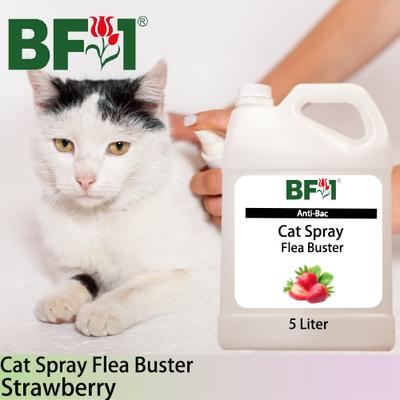 Cat Spray Flea Buster (CSY-Cat) - Strawberry - 5L ⭐⭐⭐⭐⭐ Cat Spray Flea Buster (CSY-Cat) - Strawberry - 5L ⭐⭐⭐⭐⭐