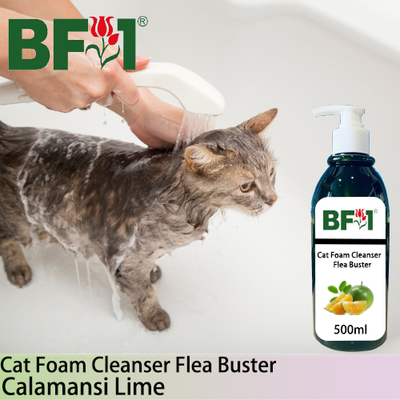 Cat Foam Cleanser Flea Buster (CFC-Cat) - lime - Calamansi Lime - 500ml ⭐⭐⭐⭐⭐