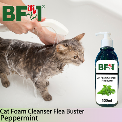 Cat Foam Cleanser Flea Buster (CFC-Cat) - mint - Peppermint - 500ml ⭐⭐⭐⭐⭐