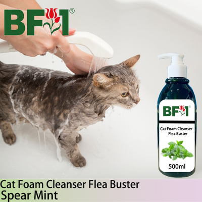 Cat Foam Cleanser Flea Buster (CFC-Cat) - mint - Spear Mint - 500ml ⭐⭐⭐⭐⭐