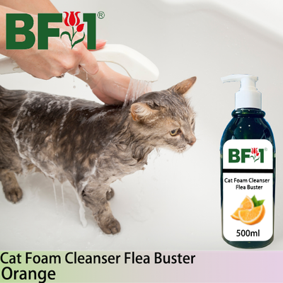 Cat Foam Cleanser Flea Buster (CFC-Cat) - Orange - 500ml ⭐⭐⭐⭐⭐