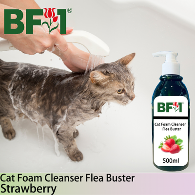 Cat Foam Cleanser Flea Buster (CFC-Cat) - Strawberry - 500ml ⭐⭐⭐⭐⭐