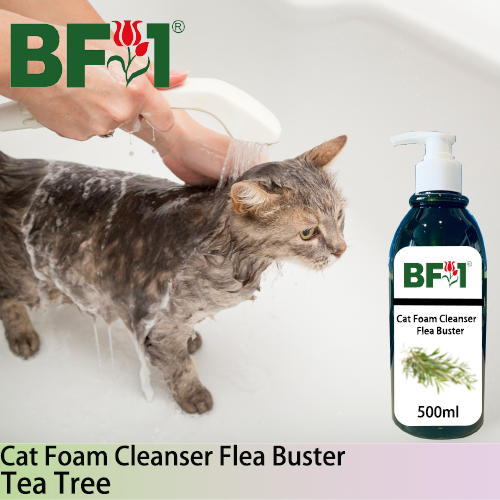 Cat Foam Cleanser Flea Buster (CFC-Cat) - Tea Tree - 500ml ⭐⭐⭐⭐⭐ Cat Foam Cleanser Flea Buster (CFC-Cat) - Tea Tree - 500ml ⭐⭐⭐⭐⭐