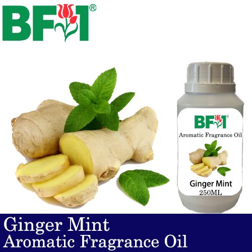 Aromatic Fragrance Oil (AFO) - Ginger Mint - 250ml Aromatic Fragrance Oil (AFO) - Ginger Mint - 250ml
