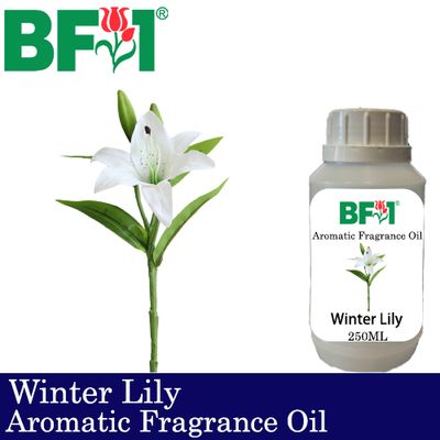 Aromatic Fragrance Oil (AFO) - Winter Lily - 250ml Aromatic Fragrance Oil (AFO) - Winter Lily - 250ml