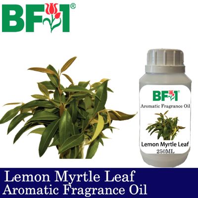 Aromatic Fragrance Oil (AFO) - Lemon Myrtle Leaf - 250ml