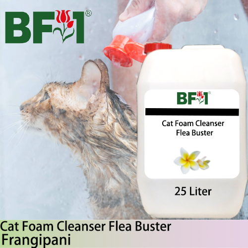 Cat Foam Cleanser Flea Buster (CFC-Cat) - Frangipani - 25L ⭐⭐⭐⭐⭐ Cat Foam Cleanser Flea Buster (CFC-Cat) - Frangipani - 25L ⭐⭐⭐⭐⭐