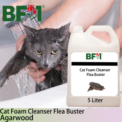 Cat Foam Cleanser Flea Buster (CFC-Cat) - Agarwood - 5L ⭐⭐⭐⭐⭐