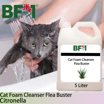 Cat Foam Cleanser Flea Buster (CFC-Cat) - Citronella - 5L ⭐⭐⭐⭐⭐