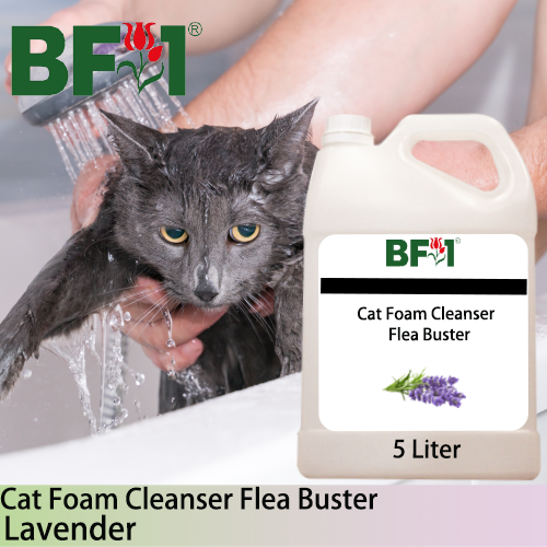 Cat Foam Cleanser Flea Buster (CFC-Cat) - Lavender - 5L ⭐⭐⭐⭐⭐ Cat Foam Cleanser Flea Buster (CFC-Cat) - Lavender - 5L ⭐⭐⭐⭐⭐