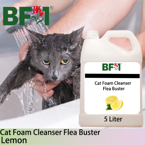 Cat Foam Cleanser Flea Buster (CFC-Cat) - Lemon - 5L ⭐⭐⭐⭐⭐ Cat Foam Cleanser Flea Buster (CFC-Cat) - Lemon - 5L ⭐⭐⭐⭐⭐