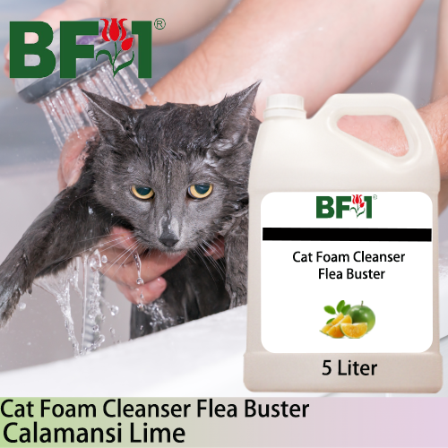 Cat Foam Cleanser Flea Buster (CFC-Cat) - lime - Calamansi Lime - 5L ⭐⭐⭐⭐⭐ Cat Foam Cleanser Flea Buster (CFC-Cat) - lime - Calamansi Lime - 5L ⭐⭐⭐⭐⭐