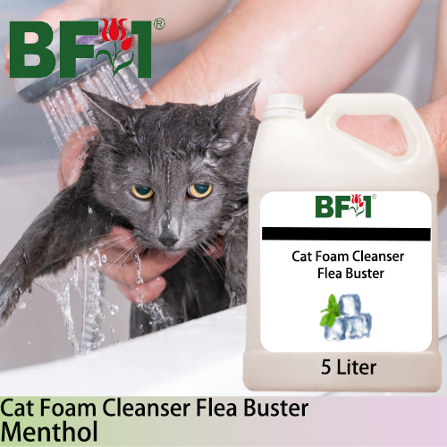 Cat Foam Cleanser Flea Buster (CFC-Cat) - Menthol - 5L ⭐⭐⭐⭐⭐ Cat Foam Cleanser Flea Buster (CFC-Cat) - Menthol - 5L ⭐⭐⭐⭐⭐