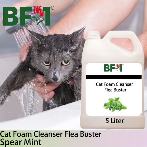 Cat Foam Cleanser Flea Buster (CFC-Cat) - mint - Spear Mint - 5L ⭐⭐⭐⭐⭐ Cat Foam Cleanser Flea Buster (CFC-Cat) - mint - Spear Mint - 5L ⭐⭐⭐⭐⭐