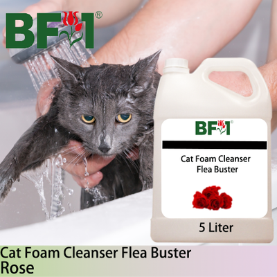 Cat Foam Cleanser Flea Buster (CFC-Cat) - Rose - 5L ⭐⭐⭐⭐⭐