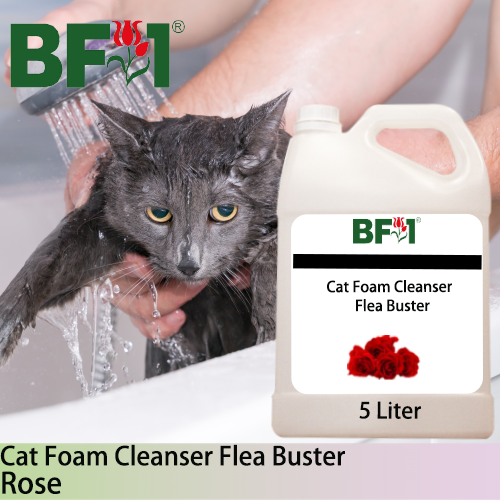 Cat Foam Cleanser Flea Buster (CFC-Cat) - Rose - 5L ⭐⭐⭐⭐⭐ Cat Foam Cleanser Flea Buster (CFC-Cat) - Rose - 5L ⭐⭐⭐⭐⭐