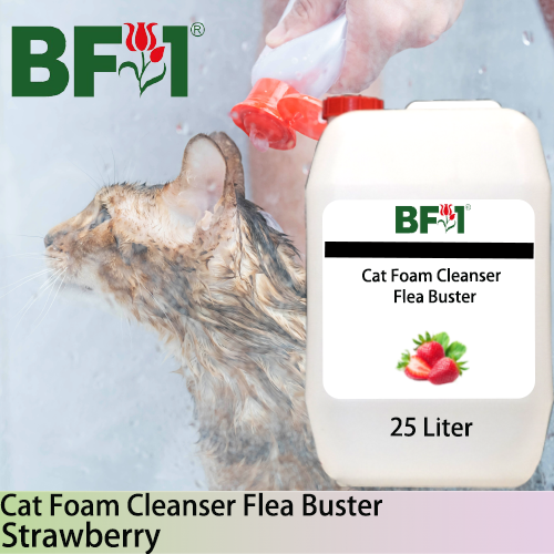 Cat Foam Cleanser Flea Buster (CFC-Cat) - Strawberry - 25L ⭐⭐⭐⭐⭐ Cat Foam Cleanser Flea Buster (CFC-Cat) - Strawberry - 25L ⭐⭐⭐⭐⭐