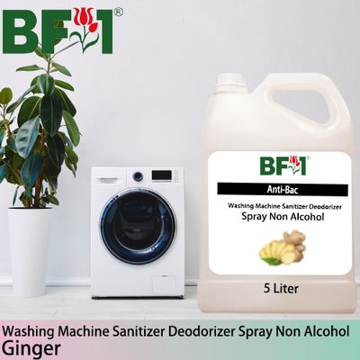 (ABWMSD) Ginger Anti-Bac Washing Machine Sanitizer Deodorizer Spray - Non Alcohol - 5L