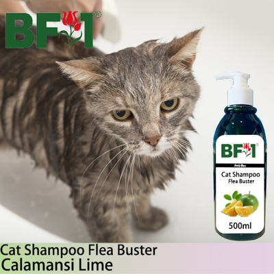 Cat Shampoo Flea Buster (CSO-Cat) - lime - Calamansi Lime - 500ml ⭐⭐⭐⭐⭐