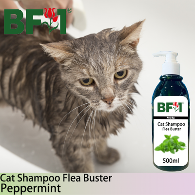 Cat Shampoo Flea Buster (CSO-Cat) - mint - Peppermint - 500ml ⭐⭐⭐⭐⭐
