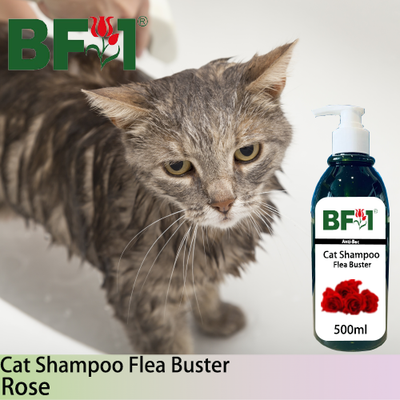 Cat Shampoo Flea Buster (CSO-Cat) - Rose - 500ml ⭐⭐⭐⭐⭐