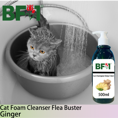 Cat Shampoo Deep Clean (CSDC-Cat) - Ginger - 500ml ⭐⭐⭐⭐⭐ Cat Shampoo Deep Clean (CSDC-Cat) - Ginger - 500ml ⭐⭐⭐⭐⭐