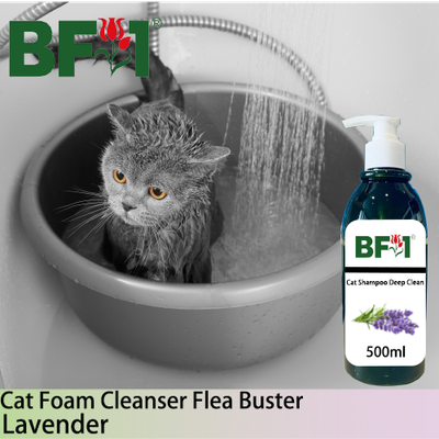 Cat Shampoo Deep Clean (CSDC-Cat) - Lavender - 500ml ⭐⭐⭐⭐⭐ Cat Shampoo Deep Clean (CSDC-Cat) - Lavender - 500ml ⭐⭐⭐⭐⭐