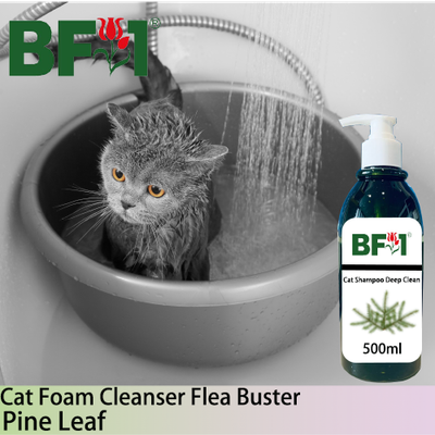 Cat Shampoo Deep Clean (CSDC-Cat) - Pine Leaf - 500ml ⭐⭐⭐⭐⭐ Cat Shampoo Deep Clean (CSDC-Cat) - Pine Leaf - 500ml ⭐⭐⭐⭐⭐