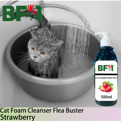 Cat Shampoo Deep Clean (CSDC-Cat) - Strawberry - 500ml ⭐⭐⭐⭐⭐ Cat Shampoo Deep Clean (CSDC-Cat) - Strawberry - 500ml ⭐⭐⭐⭐⭐