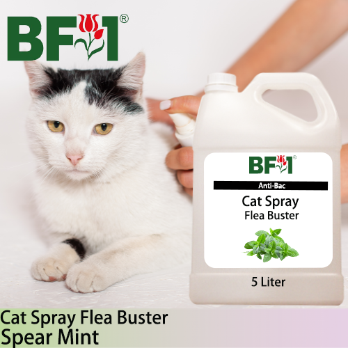 Cat Spray Flea Buster (CSY-Cat) - mint - Spear Mint - 5L ⭐⭐⭐⭐⭐ Cat Spray Flea Buster (CSY-Cat) - mint - Spear Mint - 5L ⭐⭐⭐⭐⭐