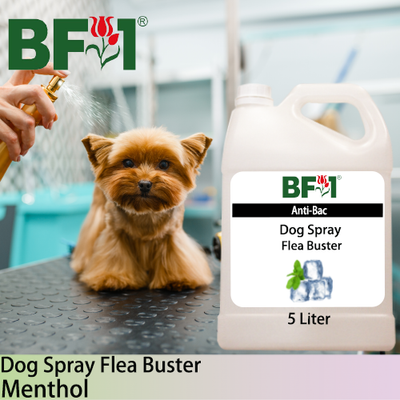 Dog Spray Flea Buster (DSY-Dog) - Menthol - 5L ⭐⭐⭐⭐⭐