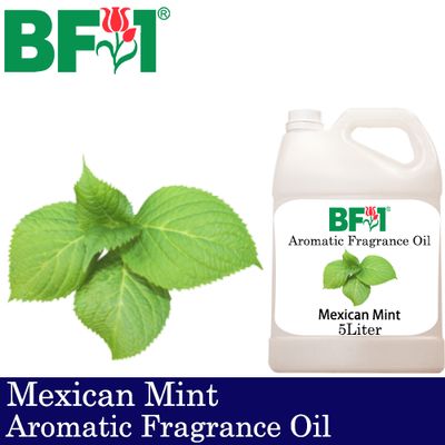 Aromatic Fragrance Oil (AFO) - Mexican Mint - 5L