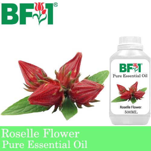 Pure Essential Oil (EO) - Roselle Flower Essential Oil - 500ml Pure Essential Oil (EO) - Roselle Flower Essential Oil - 500ml