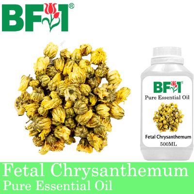 Pure Essential Oil (EO) - Fetal Chrysanthemum Essential Oil - 500ml