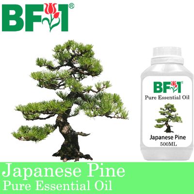 Pure Essential Oil (EO) - Pine - Japanese Pine Essential Oil - 500ml