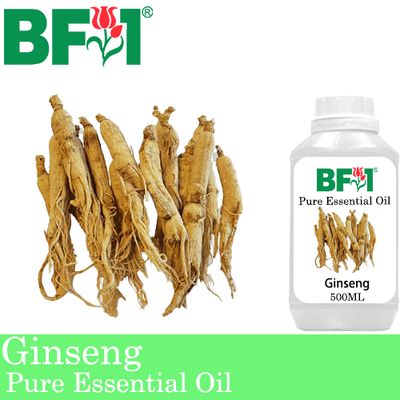 Pure Essential Oil (EO) - Ginseng Essential Oil - 500ml