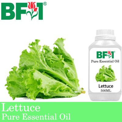 Pure Essential Oil (EO) - Lettuce Essential Oil - 500ml