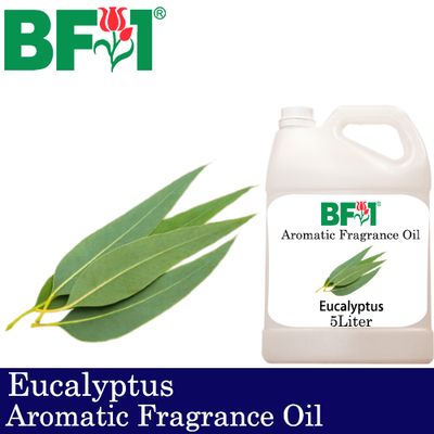 Aromatic Fragrance Oil (AFO) - Eucalyptus - 5L