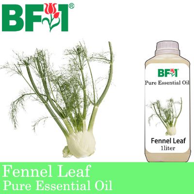 Pure Essential Oil (EO) - Fennel Leaf Essential Oil - 1L Pure Essential Oil (EO) - Fennel Leaf Essential Oil - 1L