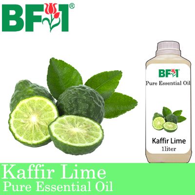 Pure Essential Oil (EO) - Lime - Kaffir Lime Essential Oil - 1L