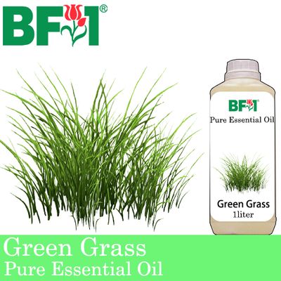 Pure Essential Oil (EO) - Green Grass Essential Oil - 1L Pure Essential Oil (EO) - Green Grass Essential Oil - 1L