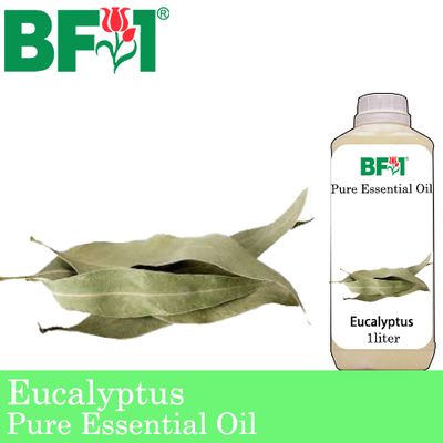 Pure Essential Oil (EO) - Eucalyptus Essential Oil - 1L