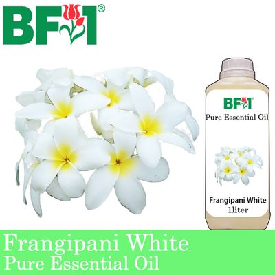 Pure Essential Oil (EO) - Frangipani White Essential Oil - 1L