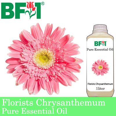 Pure Essential Oil (EO) - Chrysanthemum - Florists Chrysanthemum Essential Oil - 1L